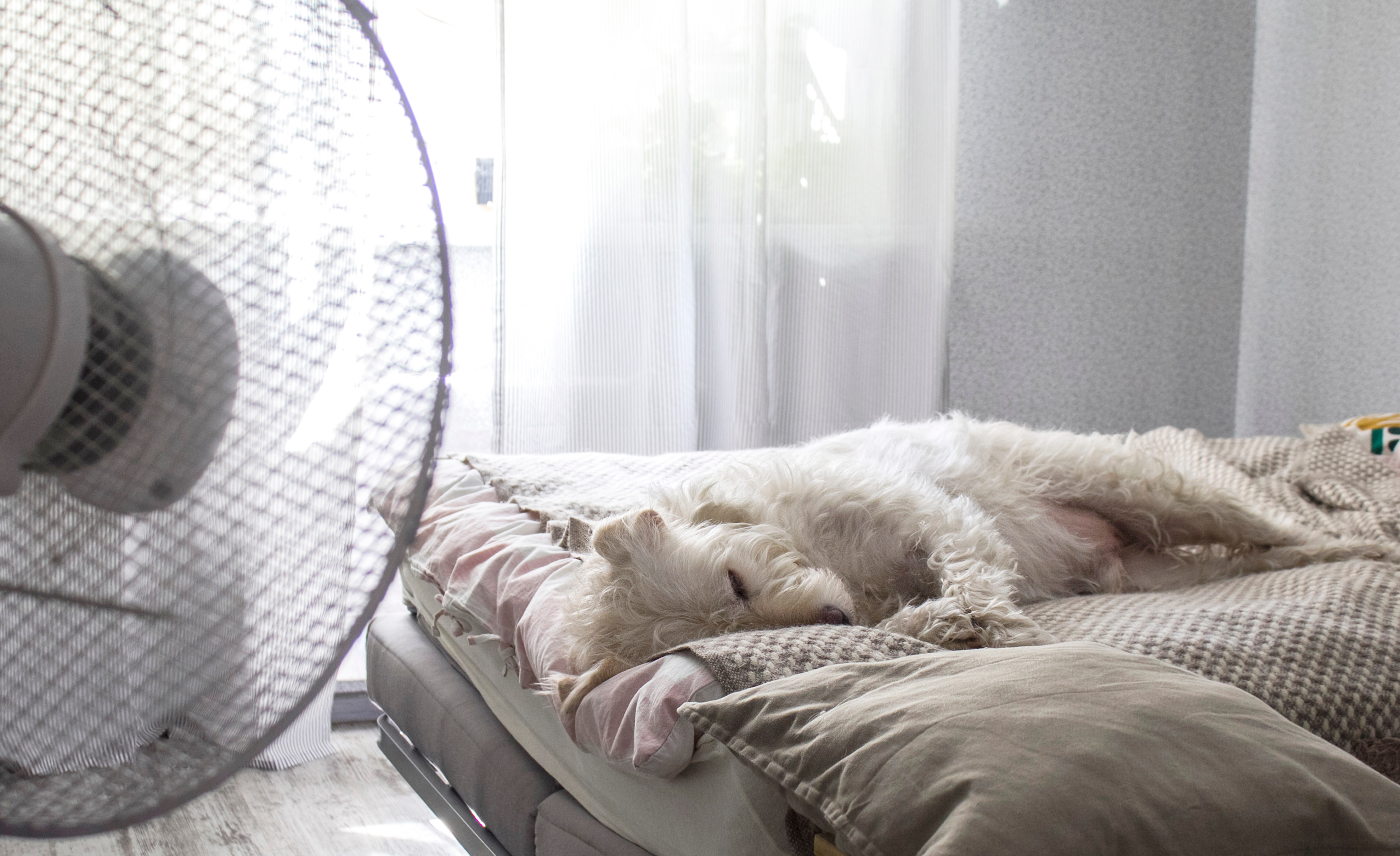 How To Choose An Air Conditioner If You Live In A Tropical Region